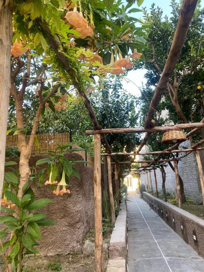 Palazzo Bonaventura 1906 Bed & Breakfast Forio  Ngoại thất bức ảnh