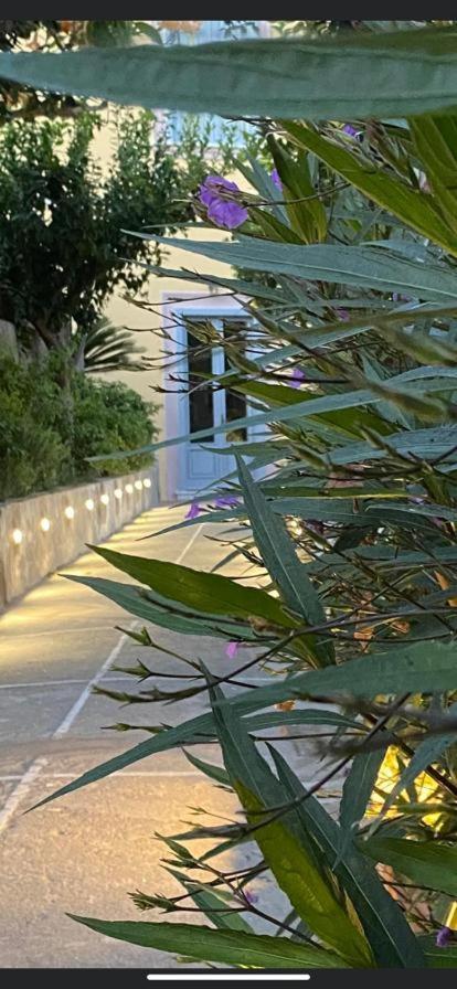 Palazzo Bonaventura 1906 Bed & Breakfast Forio  Ngoại thất bức ảnh