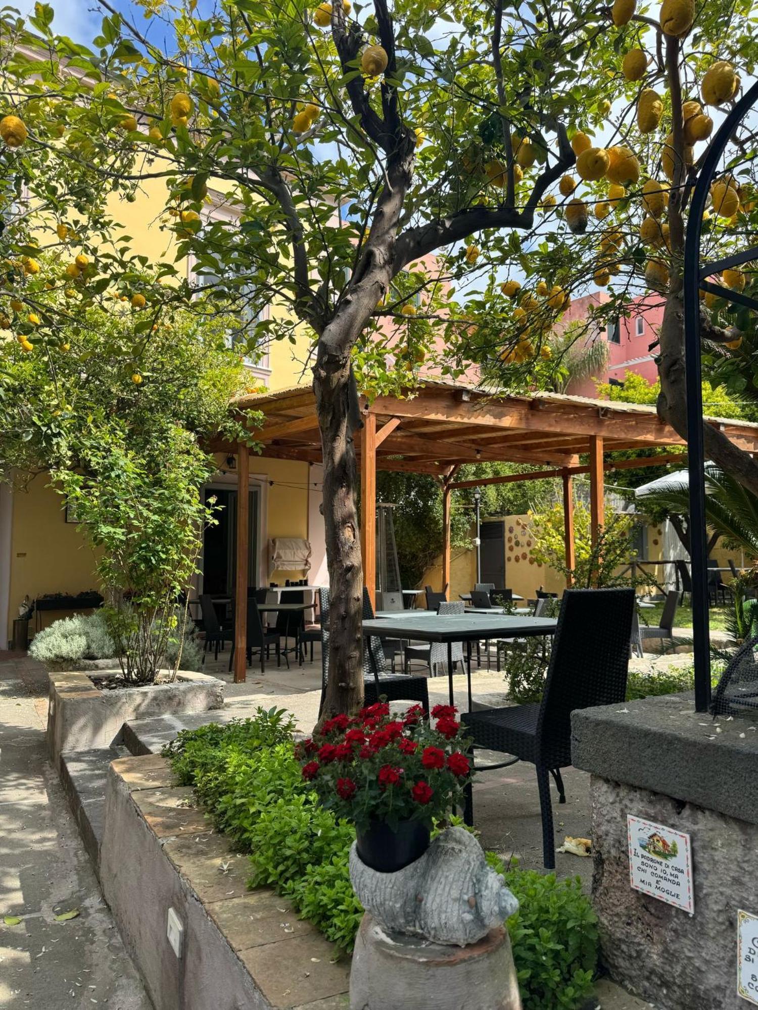 Palazzo Bonaventura 1906 Bed & Breakfast Forio  Ngoại thất bức ảnh